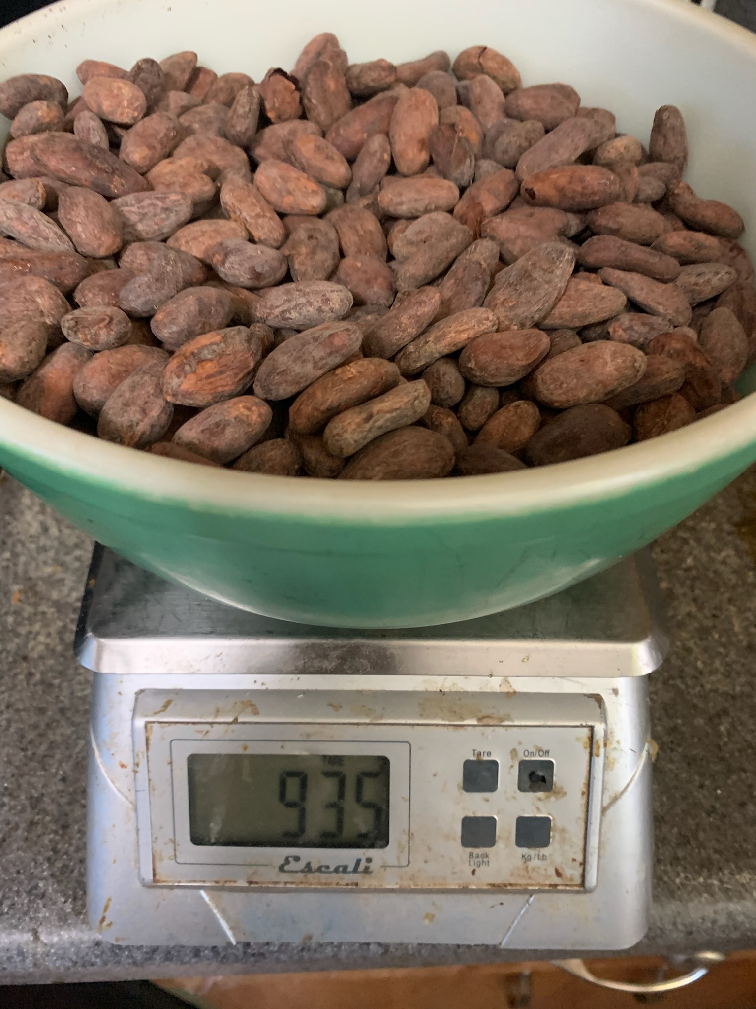 Cacao sample on a scale during moisture-study preparation