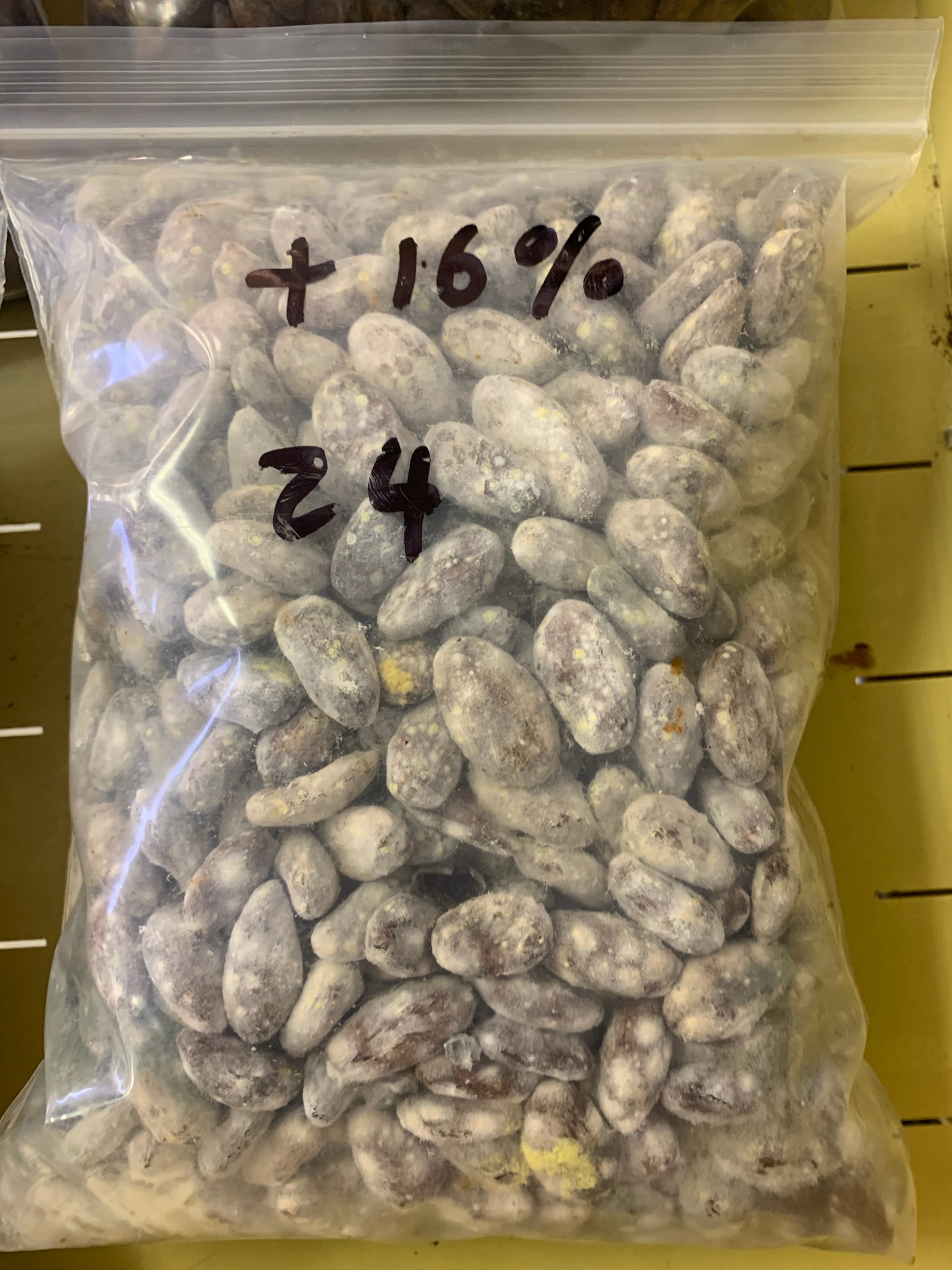 Cacao beans in a bag with heavy white mold coverage